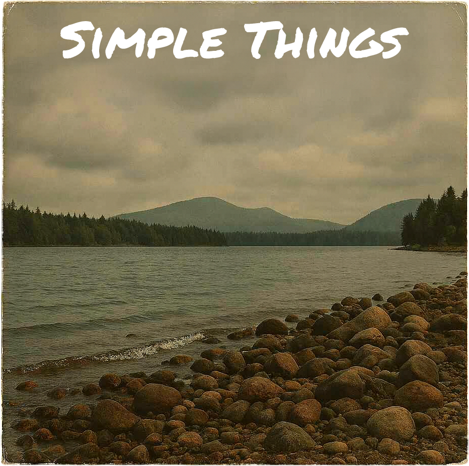 Album art for Simple Things